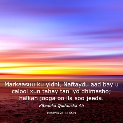 Picture 03 - Matayos 26:38 SOM - Markaasuu ku yidhi, Naftaydu aad bay u calool xun - Bible Verse Picture