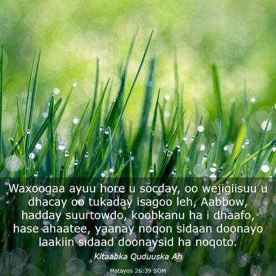 Picture 03 - Matayos 26:39 SOM - Waxoogaa ayuu hore u socday, oo wejigiisuu u - Bible Verse Picture