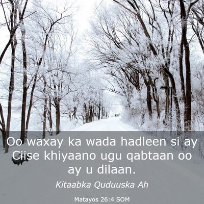 Picture 03 - Matayos 26:4 SOM - Oo waxay ka wada hadleen si ay Ciise khiyaano ugu - Bible Verse Picture