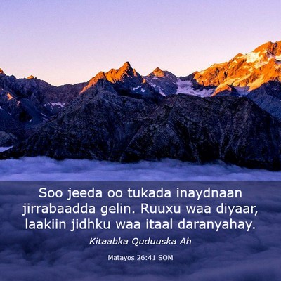 Picture 03 - Matayos 26:41 SOM - Soo jeeda oo tukada inaydnaan jirrabaadda gelin. - Bible Verse Picture