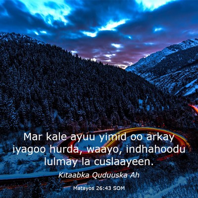 Picture 03 - Matayos 26:43 SOM - Mar kale ayuu yimid oo arkay iyagoo hurda, waayo, - Bible Verse Picture