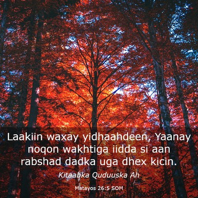 Picture 03 - Matayos 26:5 SOM - Laakiin waxay yidhaahdeen, Yaanay noqon wakhtiga - Bible Verse Picture