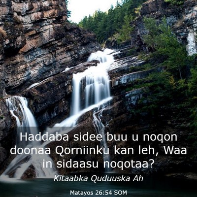 Picture 03 - Matayos 26:54 SOM - Haddaba sidee buu u noqon doonaa Qorniinku kan - Bible Verse Picture