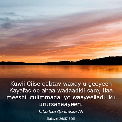 Picture 03 - Matayos 26:57 SOM - Kuwii Ciise qabtay waxay u geeyeen Kayafas oo - Bible Verse Picture