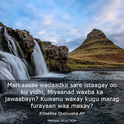 Picture 03 - Matayos 26:62 SOM - Markaasaa wadaadkii sare istaagay oo ku yidhi, - Bible Verse Picture