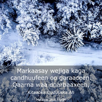 Picture 03 - Matayos 26:67 SOM - Markaasay wejiga kaga candhuufeen oo garaaceen. - Bible Verse Picture