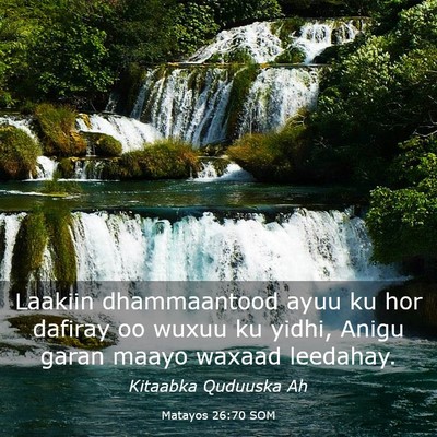 Picture 03 - Matayos 26:70 SOM - Laakiin dhammaantood ayuu ku hor dafiray oo wuxuu - Bible Verse Picture