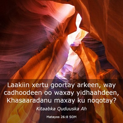 Picture 03 - Matayos 26:8 SOM - Laakiin xertu goortay arkeen, way cadhoodeen oo - Bible Verse Picture