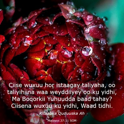 Picture 03 - Matayos 27:11 SOM - Ciise wuxuu hor istaagay taliyaha, oo taliyihiina - Bible Verse Picture