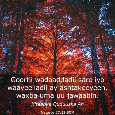 Picture 03 - Matayos 27:12 SOM - Goortii wadaaddadii sare iyo waayeelladii ay - Bible Verse Picture
