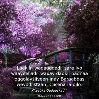 Picture 03 - Matayos 27:20 SOM - Laakiin wadaaddadii sare iyo waayeelladii waxay - Bible Verse Picture