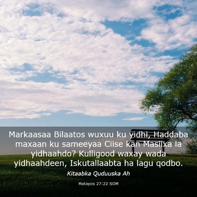 Picture 03 - Matayos 27:22 SOM - Markaasaa Bilaatos wuxuu ku yidhi, Haddaba maxaan - Bible Verse Picture