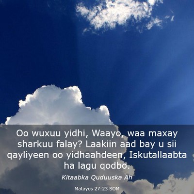 Picture 03 - Matayos 27:23 SOM - Oo wuxuu yidhi, Waayo, waa maxay sharkuu falay? - Bible Verse Picture