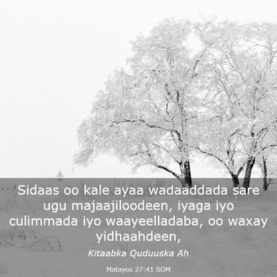 Picture 03 - Matayos 27:41 SOM - Sidaas oo kale ayaa wadaaddada sare ugu - Bible Verse Picture