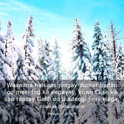 Picture 03 - Matayos 27:55 SOM - Waxaana halkaas joogay dumar badan oo meel fog ka - Bible Verse Picture