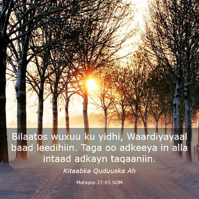 Picture 03 - Matayos 27:65 SOM - Bilaatos wuxuu ku yidhi, Waardiyayaal baad - Bible Verse Picture
