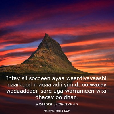 Picture 03 - Matayos 28:11 SOM - Intay sii socdeen ayaa waardiyayaashii qaarkood - Bible Verse Picture