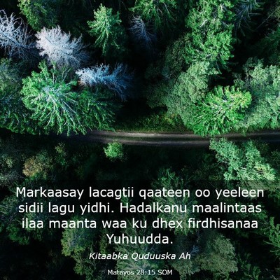 Picture 03 - Matayos 28:15 SOM - Markaasay lacagtii qaateen oo yeeleen sidii lagu - Bible Verse Picture