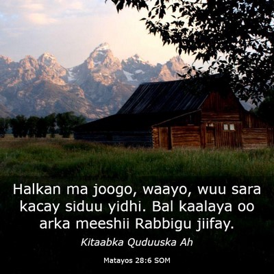 Picture 03 - Matayos 28:6 SOM - Halkan ma joogo, waayo, wuu sara kacay siduu - Bible Verse Picture