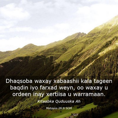 Picture 03 - Matayos 28:8 SOM - Dhaqsoba waxay xabaashii kala tageen baqdin iyo - Bible Verse Picture