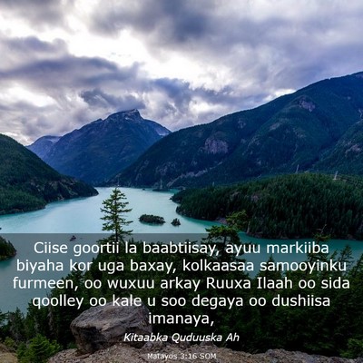 Picture 03 - Matayos 3:16 SOM - Ciise goortii la baabtiisay, ayuu markiiba biyaha - Bible Verse Picture