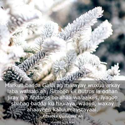 Picture 03 - Matayos 4:18 SOM - Markuu badda Galili ag marayay wuxuu arkay laba - Bible Verse Picture