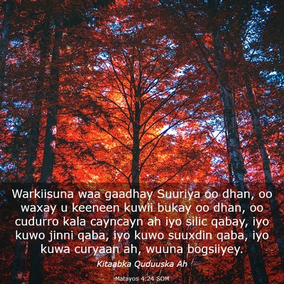 Picture 03 - Matayos 4:24 SOM - Warkiisuna waa gaadhay Suuriya oo dhan, oo waxay - Bible Verse Picture