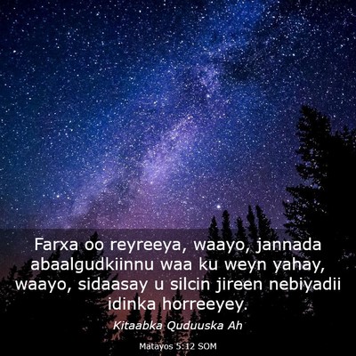 Picture 03 - Matayos 5:12 SOM - Farxa oo reyreeya, waayo, jannada abaalgudkiinnu - Bible Verse Picture