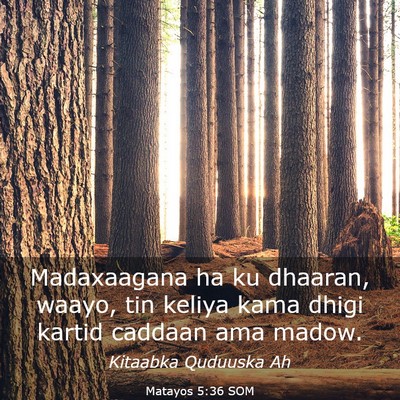 Picture 03 - Matayos 5:36 SOM - Madaxaagana ha ku dhaaran, waayo, tin keliya kama - Bible Verse Picture