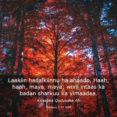 Picture 03 - Matayos 5:37 SOM - Laakiin hadalkiinnu ha ahaado, Haah, haah, maya, - Bible Verse Picture