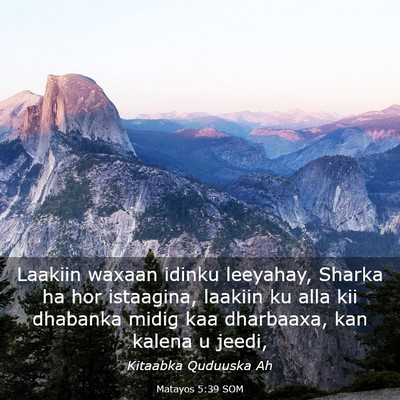 Picture 03 - Matayos 5:39 SOM - Laakiin waxaan idinku leeyahay, Sharka ha hor - Bible Verse Picture