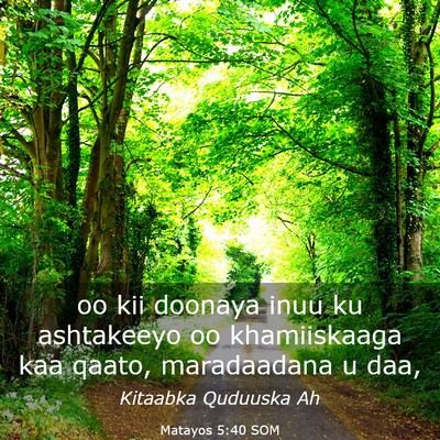 Picture 03 - Matayos 5:40 SOM - oo kii doonaya inuu ku ashtakeeyo oo khamiiskaaga - Bible Verse Picture