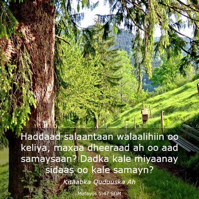 Picture 03 - Matayos 5:47 SOM - Haddaad salaantaan walaalihiin oo keliya, maxaa - Bible Verse Picture