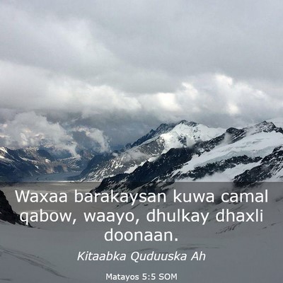 Picture 03 - Matayos 5:5 SOM - Waxaa barakaysan kuwa camal qabow, waayo, dhulkay - Bible Verse Picture