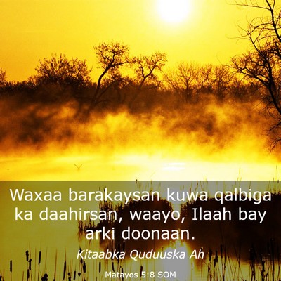 Picture 03 - Matayos 5:8 SOM - Waxaa barakaysan kuwa qalbiga ka daahirsan, - Bible Verse Picture