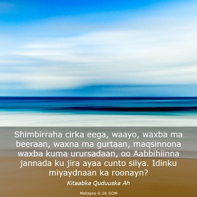 Picture 03 - Matayos 6:26 SOM - Shimbirraha cirka eega, waayo, waxba ma beeraan, - Bible Verse Picture