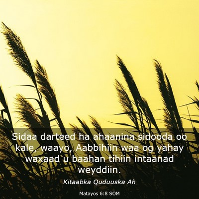 Picture 03 - Matayos 6:8 SOM - Sidaa darteed ha ahaanina sidooda oo kale, waayo, - Bible Verse Picture