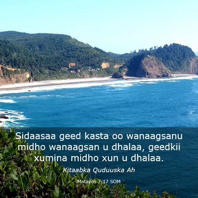 Picture 03 - Matayos 7:17 SOM - Sidaasaa geed kasta oo wanaagsanu midho wanaagsan - Bible Verse Picture