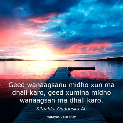 Picture 03 - Matayos 7:18 SOM - Geed wanaagsanu midho xun ma dhali karo, geed - Bible Verse Picture