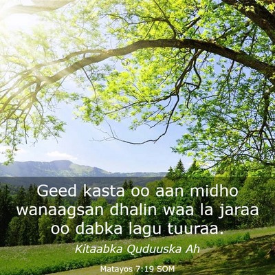 Picture 03 - Matayos 7:19 SOM - Geed kasta oo aan midho wanaagsan dhalin waa la - Bible Verse Picture