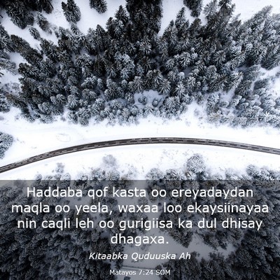 Picture 03 - Matayos 7:24 SOM - Haddaba qof kasta oo ereyadaydan maqla oo yeela, - Bible Verse Picture