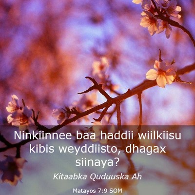 Picture 03 - Matayos 7:9 SOM - Ninkiinnee baa haddii wiilkiisu kibis weyddiisto, - Bible Verse Picture