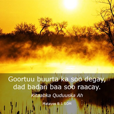 Picture 03 - Matayos 8:1 SOM - Goortuu buurta ka soo degay, dad badan baa soo - Bible Verse Picture
