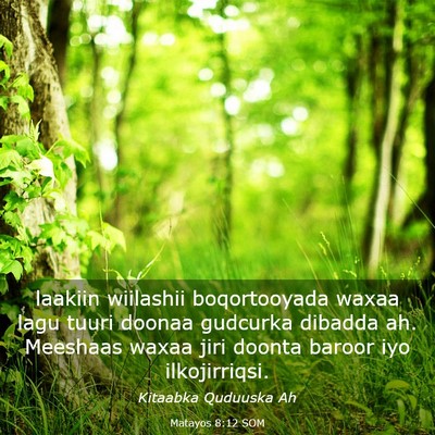 Picture 03 - Matayos 8:12 SOM - laakiin wiilashii boqortooyada waxaa lagu tuuri - Bible Verse Picture