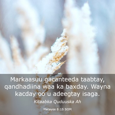 Picture 03 - Matayos 8:15 SOM - Markaasuu gacanteeda taabtay, qandhadiina waa ka - Bible Verse Picture