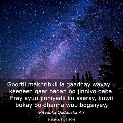 Picture 03 - Matayos 8:16 SOM - Goortii makhribkii la gaadhay waxay u keeneen - Bible Verse Picture
