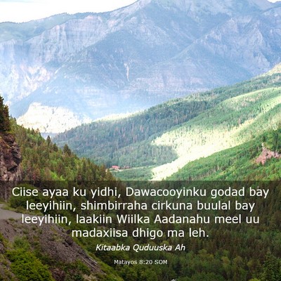 Picture 03 - Matayos 8:20 SOM - Ciise ayaa ku yidhi, Dawacooyinku godad bay - Bible Verse Picture