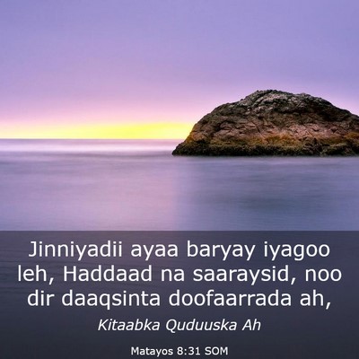 Picture 03 - Matayos 8:31 SOM - Jinniyadii ayaa baryay iyagoo leh, Haddaad na - Bible Verse Picture