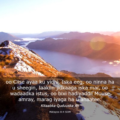 Picture 03 - Matayos 8:4 SOM - oo Ciise ayaa ku yidhi, Iska eeg, oo ninna ha u - Bible Verse Picture