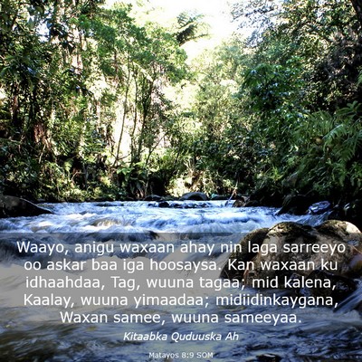 Picture 03 - Matayos 8:9 SOM - Waayo, anigu waxaan ahay nin laga sarreeyo oo - Bible Verse Picture